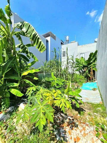 🌴 Bán Đất 61m2 có sẵn 61 m2 thổ cư giá 3.8 tỷ tại Đường Nguyễn Duy Trinh Phường Trường Thạnh Quận 9 TP. Hồ Chí Minh.