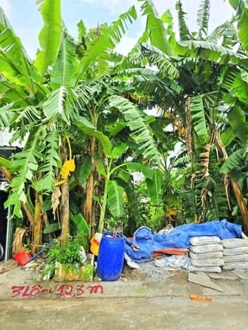🌴 Bán Đất 93m2 có sẵn 93 m2 thổ cư giá 4.4 tỷ tại Đường Long Phước Phường Long Phước Quận 9 TP. Hồ Chí Minh.