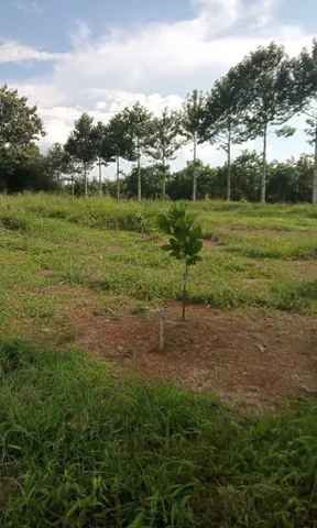 Bán Đất 1311m2 giá 1.35 tỷ tại Xã Túc Trưng Huyện Định Quán Đồng Nai
