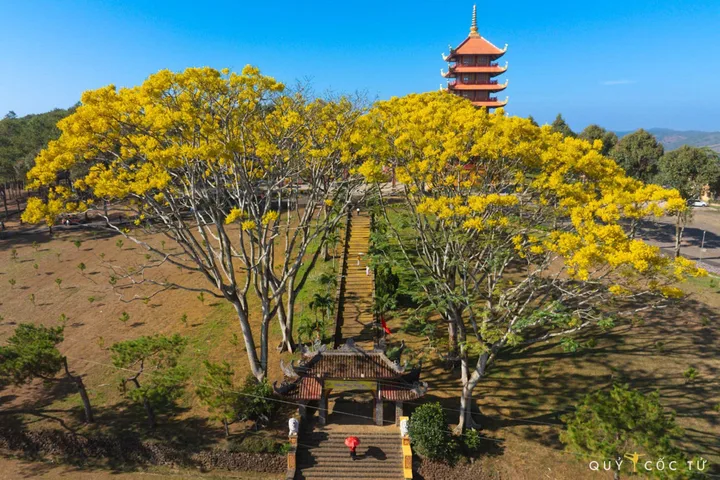 🌿 MỞ CỬA SỔ RA, ĐIỀU ĐẦU TIÊN BẠN NHÌN THẤY LÀ GÌ?