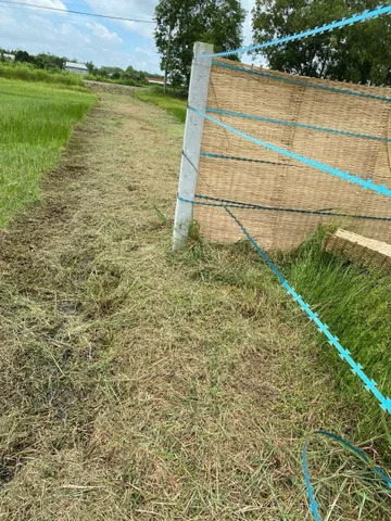 Land for sale, 3800 m², Củ Chi