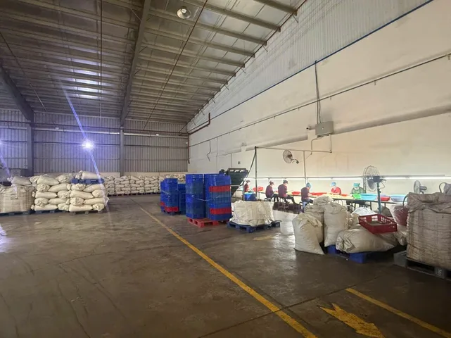 Cho thuê Kho, nhà xưởng 9000m2, Văn phòng 650m2 giá 445 triệu tại Đường DH515 Xã Phước Hoà Huyện Phú Giáo Bình Dương