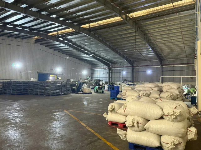 Cho thuê Kho, nhà xưởng 9000m2, Văn phòng 650m2 giá 445 triệu tại Đường DH515 Xã Phước Hoà Huyện Phú Giáo Bình Dương
