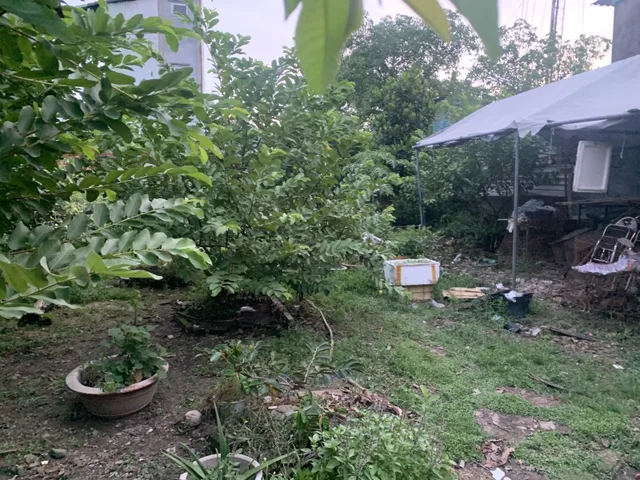 BÁN ĐẤT HẺM XE HƠI ĐƯỜNG SỐ 6, LINH XUÂN - 657m2 - Full THỔ - GIÁ 19.7 TỶ TL
