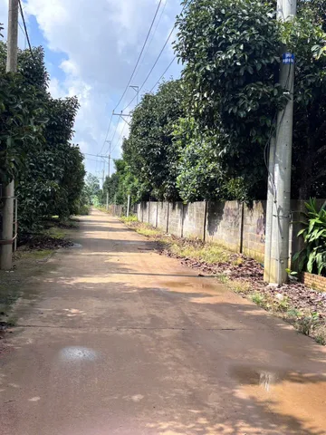 TÌM ĐẤT AN CƯ CHO VỢ CHỒNG CÓ CON NHỎ – CON ĐI HỌC GẦN CHỈ MẤT 5 -7 PHÚT LÁI XE