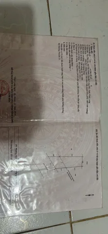Cho thuê Đất 244m2 có sẵn 1 m2 thổ cư giá 1.1 triệu tại Xã Tân Hạnh Huyện Long Hồ Vĩnh Long