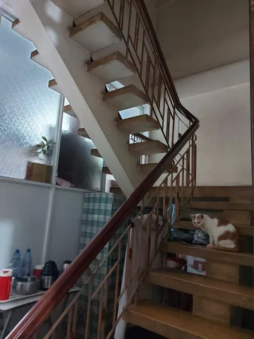 Bán nhà nở hậu mặt tiền Trần Quý Cáp, P.12, Bình Thạnh, 9.3x34m, 3 tầng, chỉ 44 tỷ