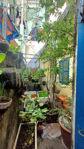 Bán nhà riêng, 192 m², Phú Nhuận