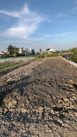 Bán Đất 138m2 có sẵn 138 m2 thổ cư giá 1.4 tỷ tại Đường Tỉnh Lộ 835D Xã Long Hòa Huyện Cần Đước Long An