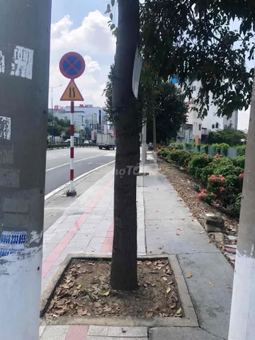 đất siêu rộng, hàng hiếm
thu dau mot