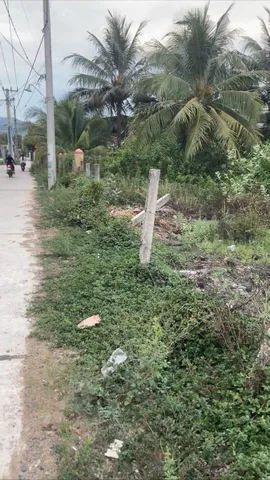 Bán đất Ninh Phụng Ninh Hòa - 300m² full thổ, mặt tiền 17,4m, 1,8 tỷ