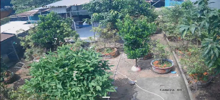 Bán Đất 460m2 có sẵn 100 m2 thổ cư giá 2.6 tỷ tại Phường Chánh Phú Hòa Thị xã Bến Cát Bình Dương