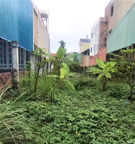 Land for sale, 308 m², Quận 12