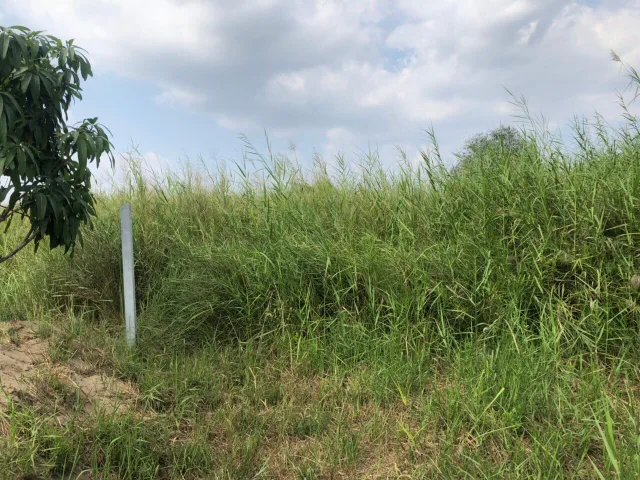 Bán đất nền, 1000 m², Nhà Bè