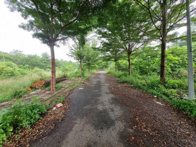 Land for sale, 80 m², Củ Chi