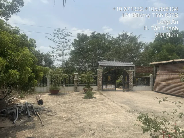 Bán Nhà riêng, diện tích 1600m2 (full thổ cư) giá 3.7 tỷ tại Đường Tỉnh 837 Xã Hậu Thạnh Tây Huyện Tân Thạnh Long An