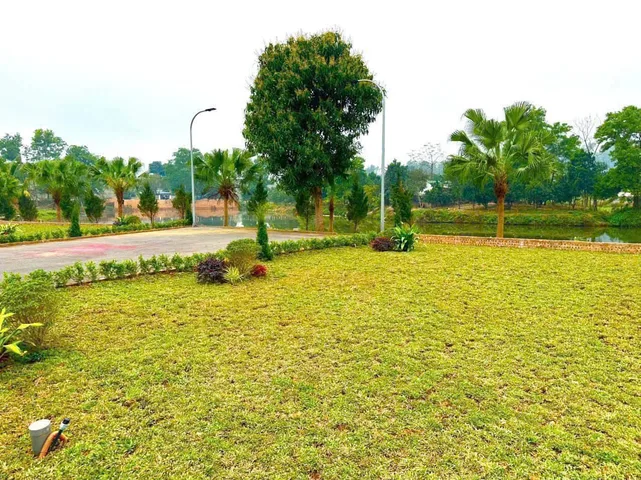 ĐẤT CỔNG SÂN GOLF ĐỒNG MÔ – 64M² FULL THỔ CƯ – CHỈ 1,7 TỶ 🔥