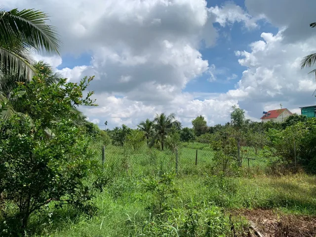 Bán Đất 6000m2 có sẵn 300 m2 thổ cư giá 10.2 tỷ tại Phường Phú Tân Thành phố Bến Tre Bến Tre