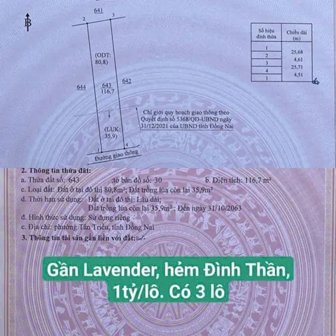 Bán Đất 117m2 có sẵn 81m2 thổ cư giá 1 tỷ tại phường Tân Triều, gần khu Lavender City