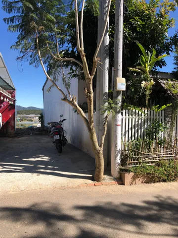 Bán Đất 306m2 giá 6.5 tỷ tại Đường Huỳnh Tấn Phát Phường 11 Thành phố Đà Lạt Lâm Đồng