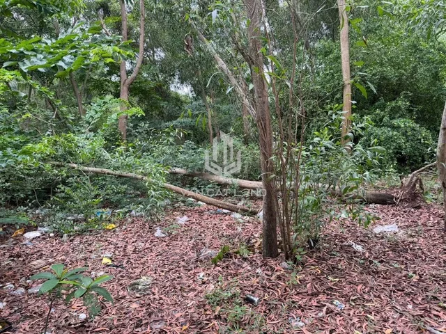 **💎 CHO THUÊ ĐẤT TRỐNG MẶT TIỀN 3/2 – ĐÔ LƯƠNG, VŨNG TÀU – 2.400M² – CHỈ 16 TRIỆU/THÁNG 💎**