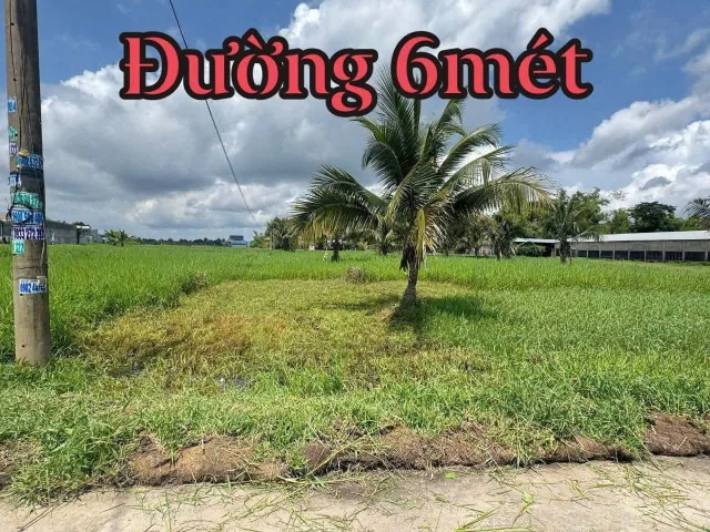 Bán Đất 125m2 có sẵn 125 m2 thổ cư giá 890 triệu tại Xã Đức Hòa Thượng Huyện Đức Hòa Long An