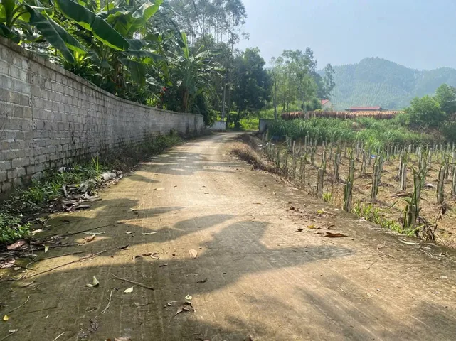 Bán Đất 1038m2 có sẵn 100 m2 thổ cư giá 700 triệu tại Xã Canh Nậu Huyện Yên Thế Bắc Giang