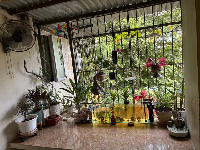 Bán Căn hộ chung cư 27.6m2 giá 3.2 tỷ tại 312 C2 tập thể Quỳnh Mai Phường Quỳnh Mai Quận Hai Bà Trưng Hà Nội