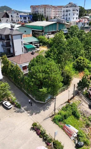 Bán căn villa hiếm có thông trong sân. vị trí 3 mặt thoáng hướng lưng tựa núi hiếm có khó tìm