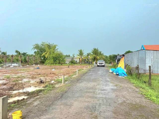 Bán Đất lúa DT 4841m2 giá 22 tỷ tại Xã Thanh Phước Huyện Gò Dầu Tây Ninh