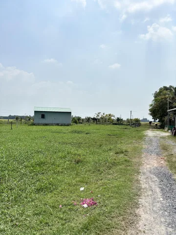 Bán Đất 2432m2 giá 12 tỷ tại Xã Thanh Phước Huyện Gò Dầu Tây Ninh