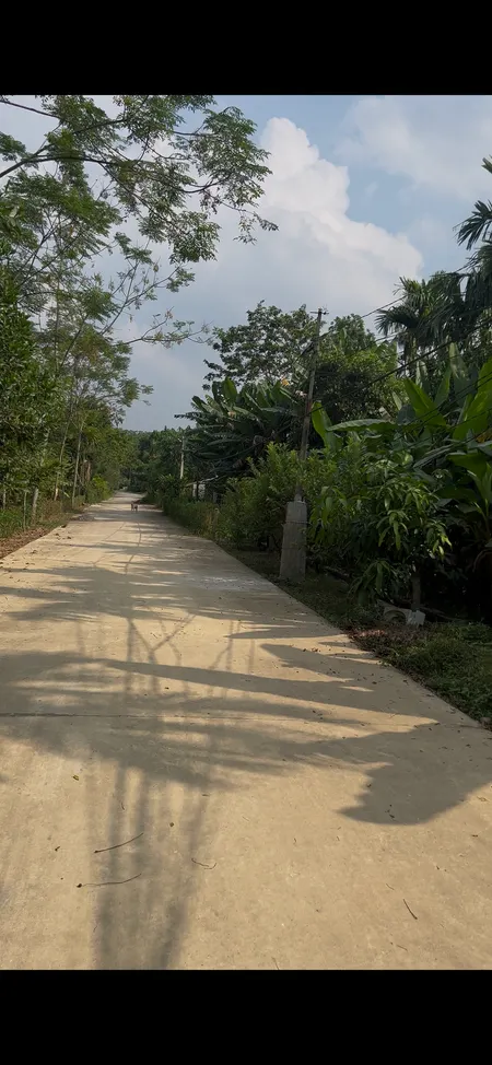 Bán Đất 100m2 giá 1.2 tỷ tại khu 14 xã Văn Lang hạ hòa Phú Thọ Xã Vô Tranh Huyện Hạ Hoà Phú Thọ