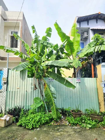 🌴 Bán Đất 82m2 có sẵn 82 m2 thổ cư giá 4.2 tỷ tại Đường Nguyễn Duy Trinh Phường Long Trường Quận 9 TP. Hồ Chí Minh.