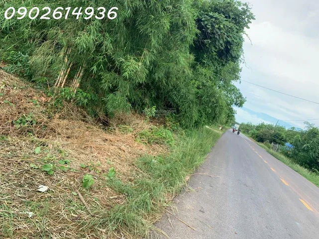 Bán đất đường Lò Rèn, Long Hòa, 24tỷ, 8000m2 view đẹp Hot!