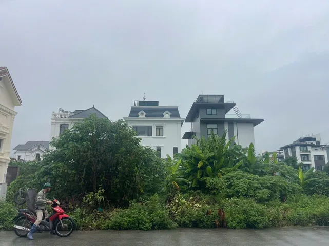 Bán Đất 292.6m² thổ cư giá 19.3 tỷ tại Khu đất Phúc Lộc Phường Đằng Hải Quận Hải An Hải Phòng