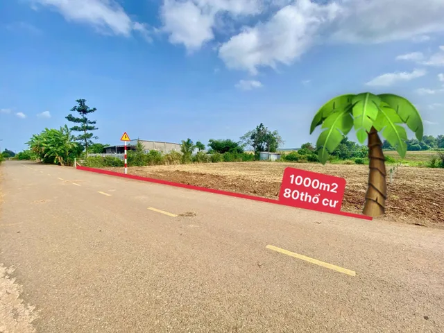 ĐẤT 1.000M² XÃ ĐẤT ĐỎ – GIÁ CHỈ 2,4 TỶ – ĐƯỜNG NHỰA ĐI HỒ TRÀM
