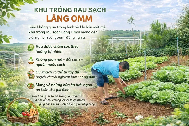 Bán đất Làng Omm Bảo Lộc 176,6m², có 116m² thổ cư, giá 1,1 tỷ đồng