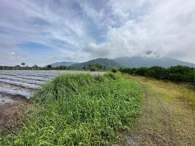 CHỦ GỬI BÁN 5 NỀN CỰC ĐẸP KẾ BÊN NGÃ TƯ TÂN BÌNH - VIEW NÚI BÀ ĐEN GIÁ MỀM