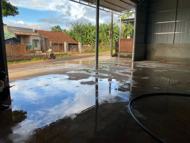 Cho thuê Kho, nhà xưởng 300m2 giá 15 triệu tại thôn Tam Thịnh, xã Tam Giang, tỉnh Đắk Lắk Xã Ea Tam Huyện Krông Năng Đắk Lắk