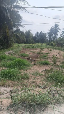 Bán Đất 1600m2 có sẵn 1600 m2 thổ cư giá 47 tỷ tại hẻm Đường Châu Thị Kim Xã An Vĩnh Ngãi Thành phố Tân An Long An