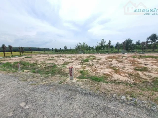 Cần Bán lô đất lúa, DT: 5500m2 ,giá 24 tỷ tại, Xã Thanh Phước, Huyện Gò Dầu, Tây Ninh, SHR