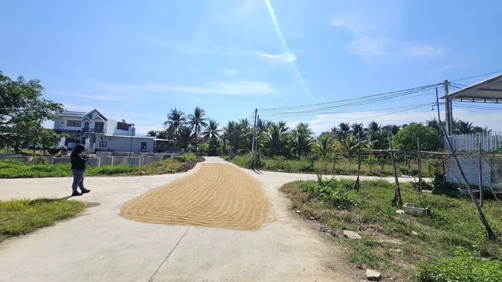 Bán Đất 427m2 có sẵn 427 m2 thổ cư giá 3.84 tỷ tại Xã Diên Sơn Huyện Diên Khánh Khánh Hòa