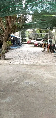 MẠCH THỊ LIỄU P.TÂN ĐÔNG HIỆP - ĐẤT MẶT TIỀN 791M2 (20X50M), ĐƯỜNG 11M - 13,5 TỶ