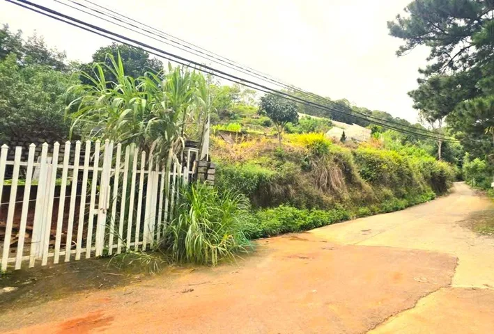 BÁN ĐẤT HƠN 8000M2 VIEW ĐỒI THÔNG – 2 MẶT TIỀN HẺM HÙNG VƯƠNG, ĐÀ LẠT
