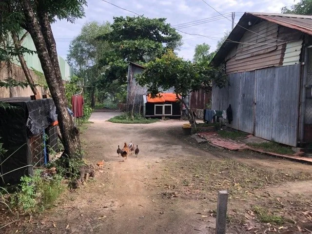 Bán nhà phố 8/8a đường Lò Lu, P. Trường Thạnh, TP. Thủ Đức