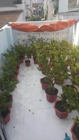 Bán nhà phố 66/19 Xô Viết Nghệ Tĩnh, P. 21, Q. Bình Thạnh