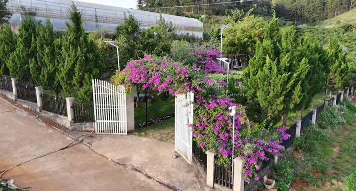 Cho thuê homestay khuôn viên 2.000m2 giá 35 triệu tại Xã Tà Nung Thành phố Đà Lạt Lâm Đồng