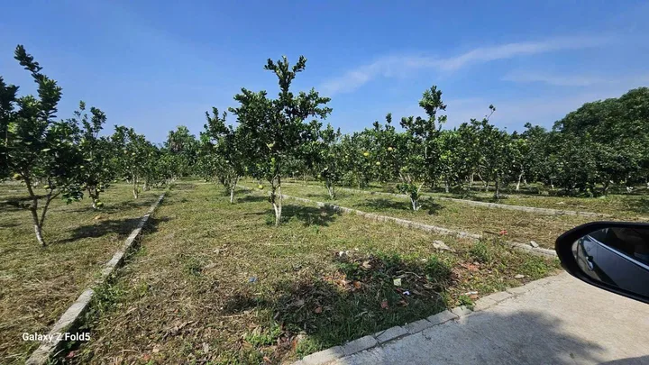 DUY NHẤT 1 LÔ *** Bán Đất 177.3m2 Sẵn sổ giá 240 triệu tại Lạc Lương,Hòa Bình Xã Bảo Hiệu Huyện Yên Thủy Hòa Bình
