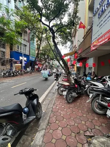 Bán Nhà riêng 52m2 có sẵn 52 m2 thổ cư giá 23 tỷ tại Phường Thanh Xuân Trung Quận Thanh Xuân Hà Nội