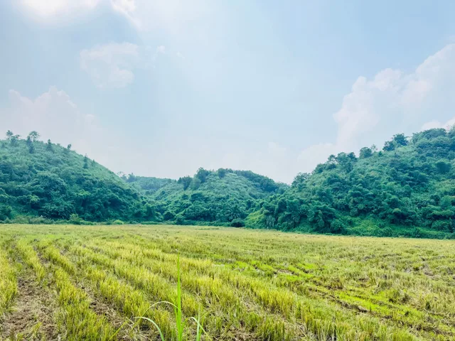 10,5HA ĐẤT RỪNG SẢN XUẤT ĐẤT THOẢI ĐẸP TỐT GIÁP ĐƯỜNG GIÁ TỐT QH CHUẨN